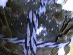 -乡乐园蟹庄·阳澄湖农家乐