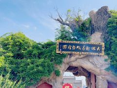 -大槐树寻根祭祖园