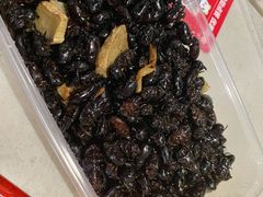 -蜀张一派斑鱼大虾(宁河旗舰店)