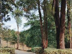 -中国移动南方基地