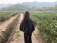 -中国茶叶博物馆(双峰馆区)