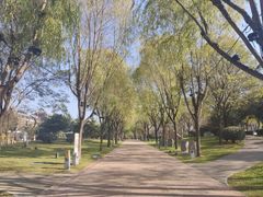 -唐城墙遗址公园