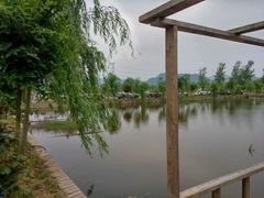 -同銮特种养殖场·龙虾垂钓