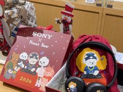 -Sony Store索尼(广州正佳店)