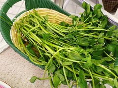 西洋菜-燃计沙茶皇·香港沙茶火锅(人广旗舰店)