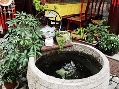 -张家大院·鲁菜·私房菜(芙蓉街店)