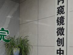 -半岛宠物医院24小时(白果林店)