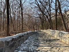 -阳台山自然风景区