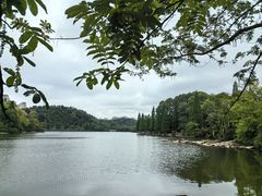 -观山湖公园