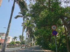 -西涌国际滨海旅游区