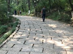 -高尔山公园