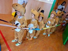 -金宝贝国际早教(洛龙正大校区)