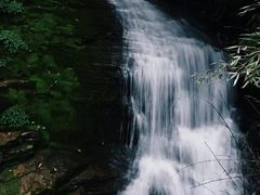 -鹿院坪生态旅游景区
