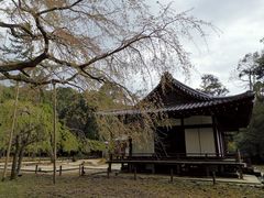 -醍醐寺