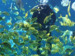 -太平洋海底世界