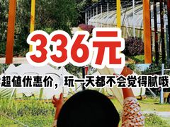 -前小桔亲子创意农场·草莓采摘·露营烧烤