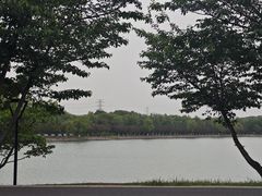 -羊山湖公园