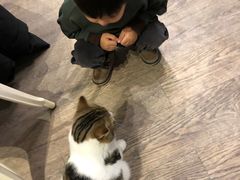 -小时光咖啡馆(开森度假森林店)