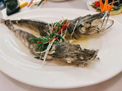 南极冰鱼-白家餐厅(徐家汇店)