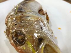 -长平肥姐白粥·海鲜打冷