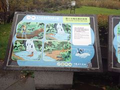 -北药泉