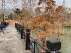 -田野绿世界