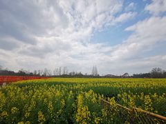 -中国天府农业博览园