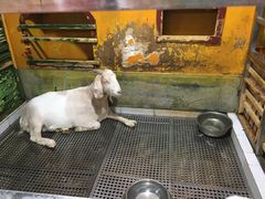 -上海大自然野生昆虫馆(东方明珠·爬宠昆虫探索中心)