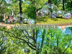 -上海共青森林公园