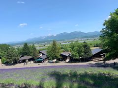 -富田农场