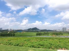 -光明小镇欢乐田园