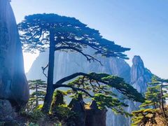 -黄山风景区