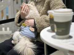 -怪兽屋·羊驼·猫咖·狗咖(俊华广场店)