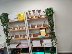 -美肌工坊皮肤管理