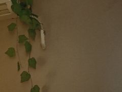 -恒生商业广场(上丰店)