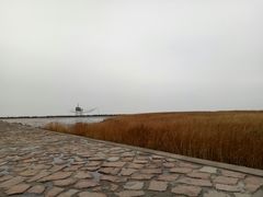 -南汇嘴观海公园