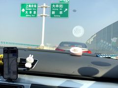-荷兰花海