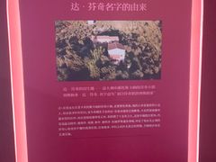 -天津自然博物馆