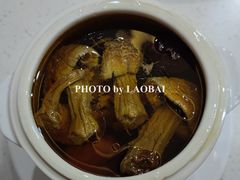 -锦园春香港茶餐厅(西海湾旗舰店)