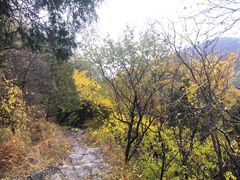 -阳台山自然风景区