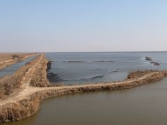 -盐城丹顶鹤湿地生态旅游区