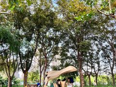 -上海山野camping·户外天幕烧烤·团建拓展营地