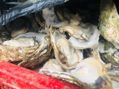 -蚝美人·生蚝海鲜烧烤(茶花园店)