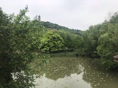 -石榴院子(西施故里店)
