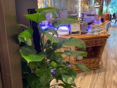 -万达瑞华酒店美食汇自助餐厅(楚河汉街店)