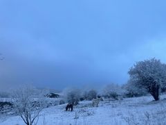 -太子岭滑雪场