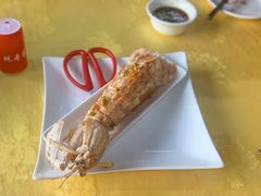 濑尿虾-蚝专家(北滘店)