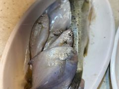 -旺角小渔村·海肠捞饭开创者(环山路店)
