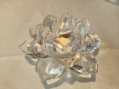 -一德轩·闽.粤料理(福州广场店)