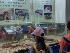 -上海昆虫博物馆